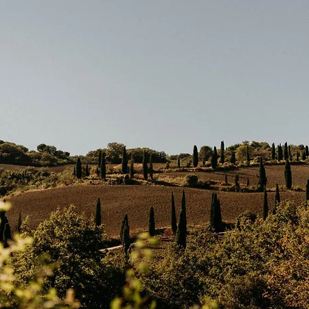 Vitalenta Agriboutique