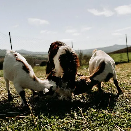 Vitalenta Agriboutique